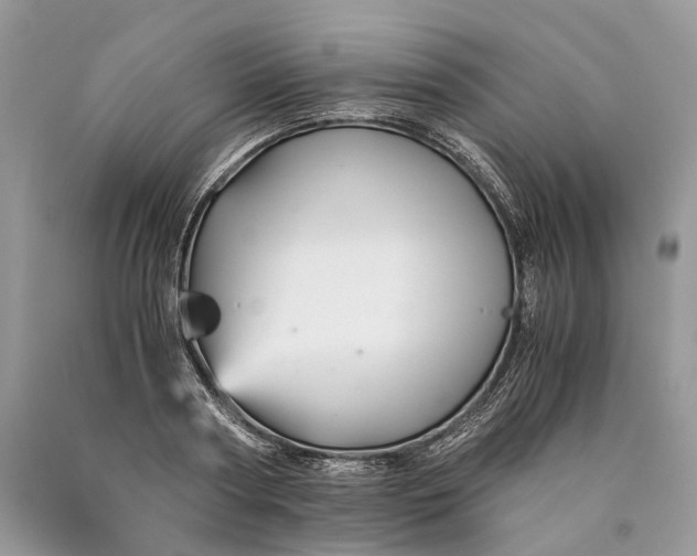 X0000089920794200707201817