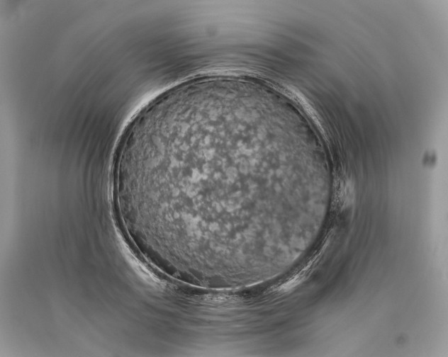 X0000089920795200707201817