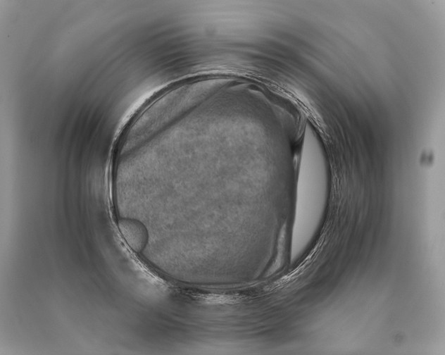 X0000089920796200707201817