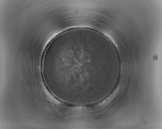 X0000089920797200707201817