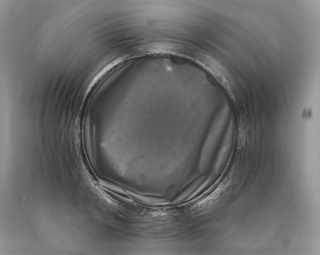 X0000089920798200707201817