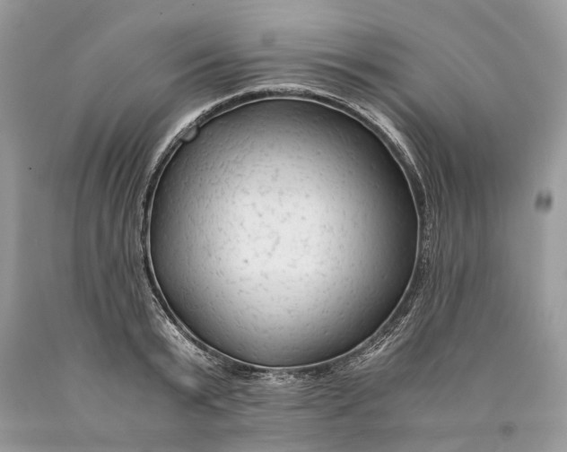 X0000089920799200707201817