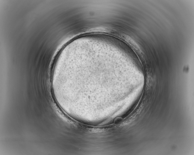 X0000089920800200707201817