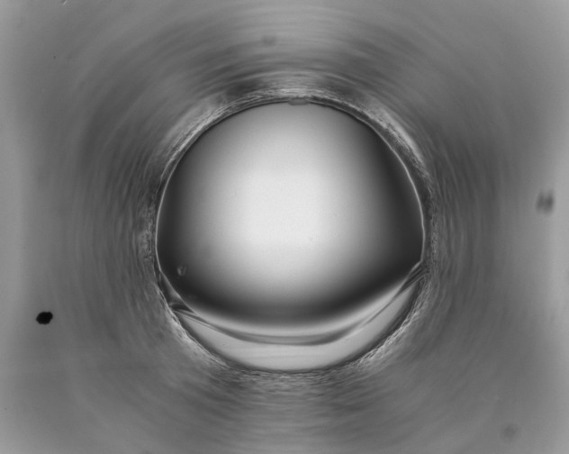 X0000089920801200707201817