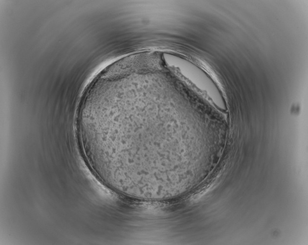 X0000089920803200707201817