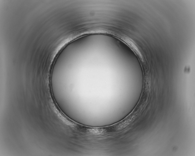 X0000089920805200707201817