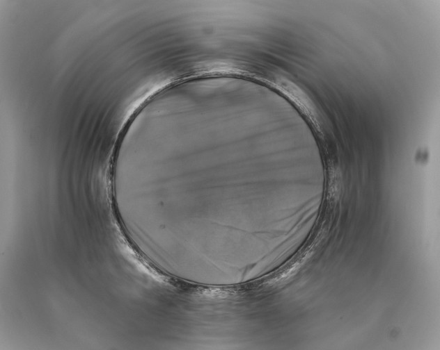 X0000089920806200707201817