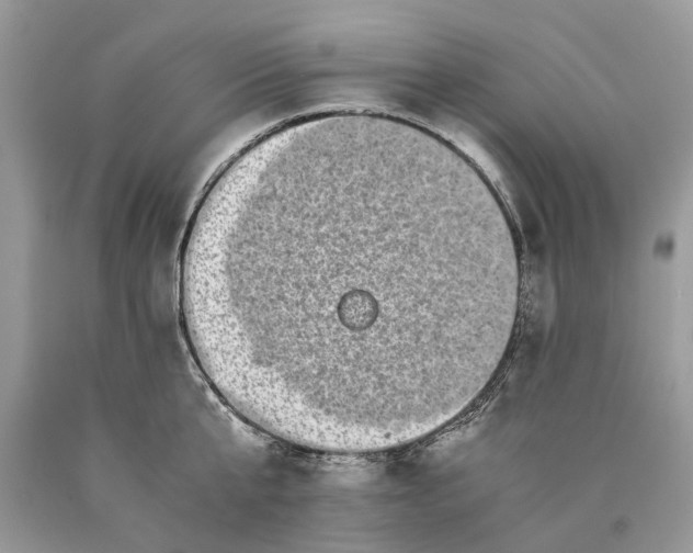 X0000089920807200707201817