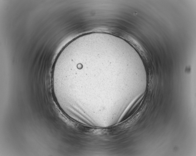 X0000089920808200707201817