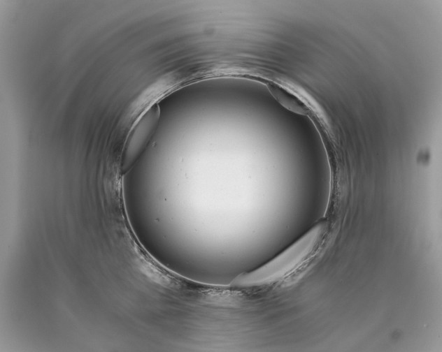 X0000089920809200707201817