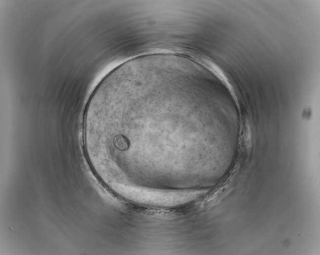 X0000089920811200707201817