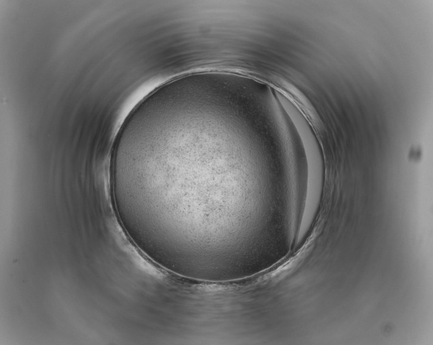 X0000089920812200707201817