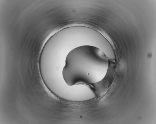 X0000089920813200707201817