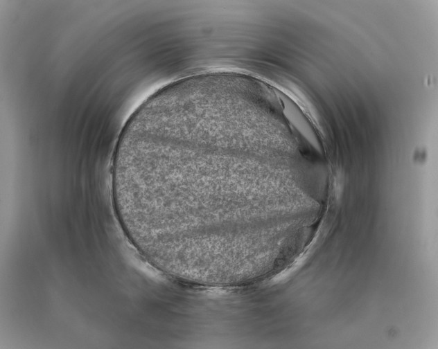 X0000089920814200707201817