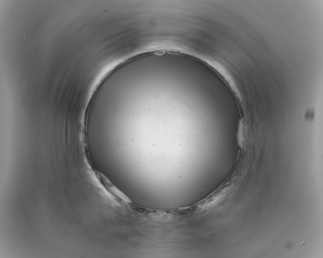 X0000089920815200707201817