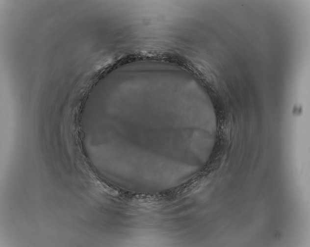 X0000089920817200707201816