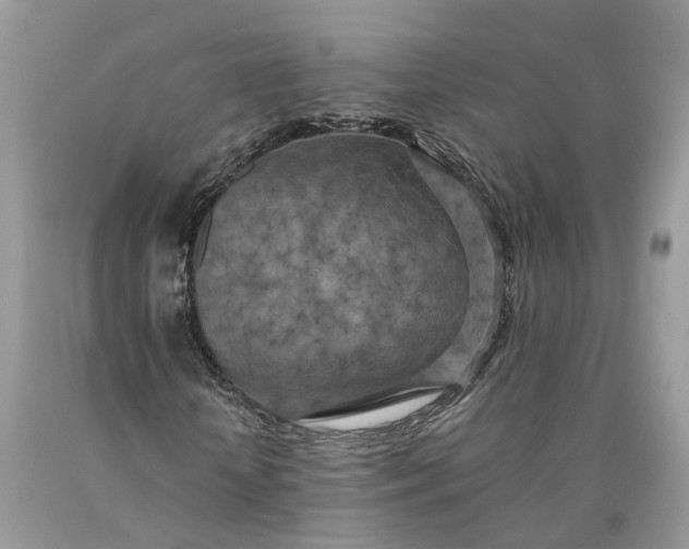 X0000089920818200707201816