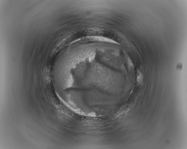 X0000089920819200707201816