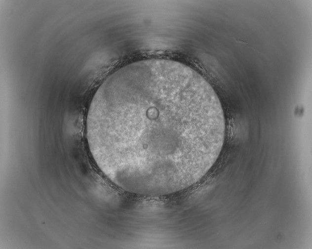 X0000089920820200707201816