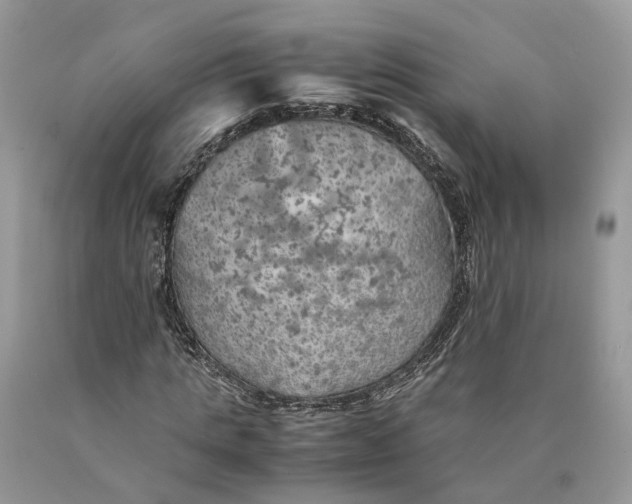 X0000089920821200707201816