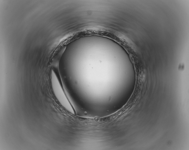 X0000089920822200707201816