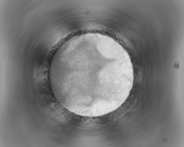 X0000089920824200707201816