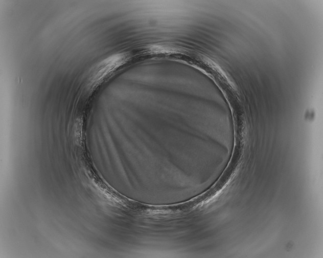 X0000089920825200707201816