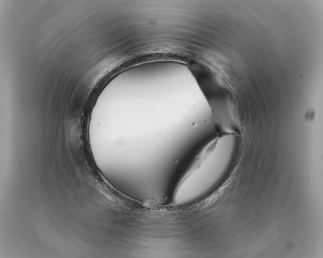 X0000089920826200707201816