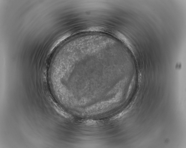 X0000089920827200707201816