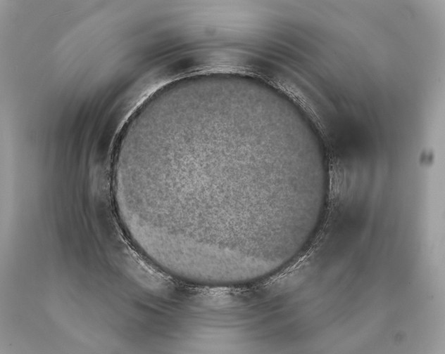 X0000089920828200707201816