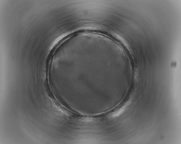 X0000089920829200707201816