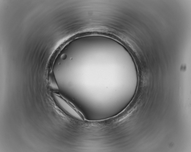 X0000089920830200707201816