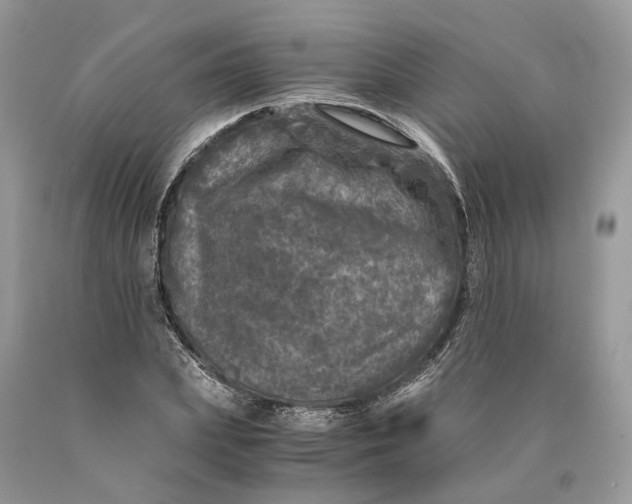 X0000089920831200707201816