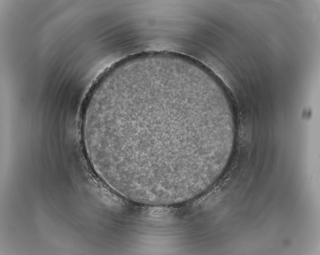 X0000089920832200707201816