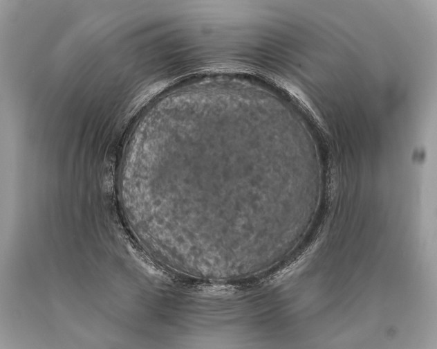 X0000089920833200707201816