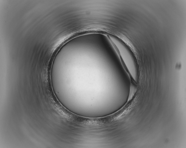 X0000089920834200707201816