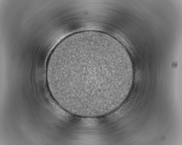 X0000089920836200707201816