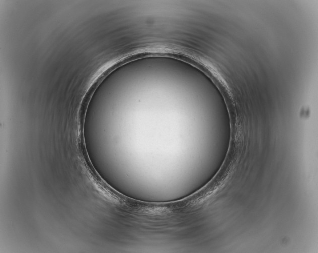 X0000089920837200707201816