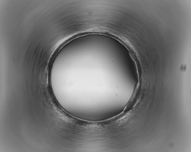 X0000089920838200707201816