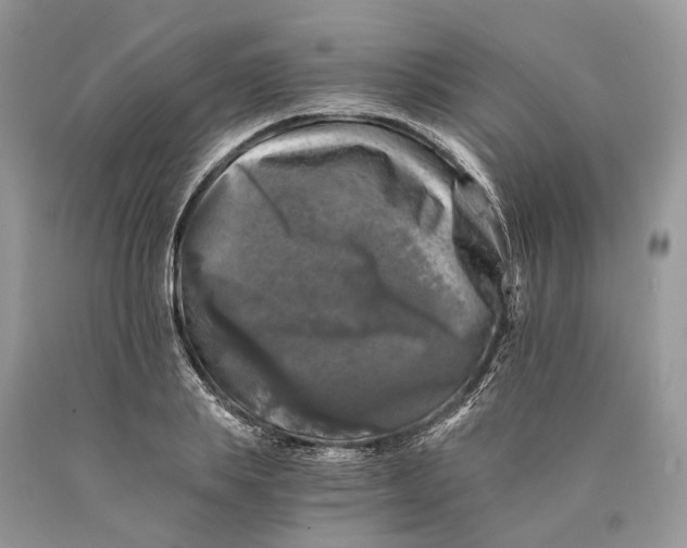 X0000089920839200707201816