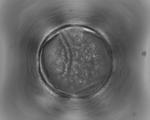 X0000089920840200707201816