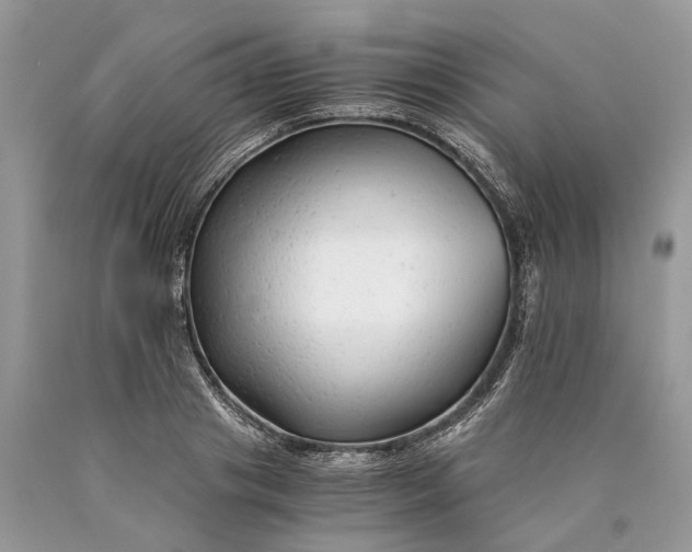 X0000089920841200707201816