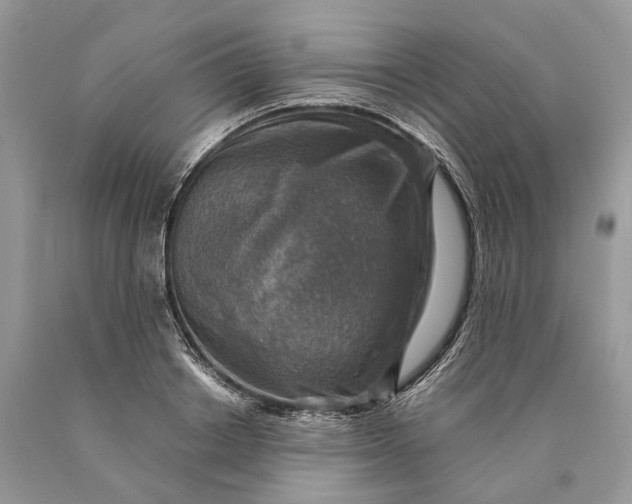 X0000089920842200707201816