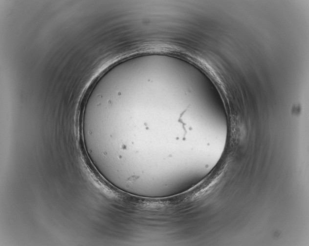 X0000089920843200707201816