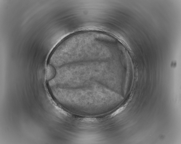 X0000089920844200707201816