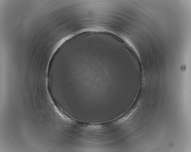 X0000089920845200707201816