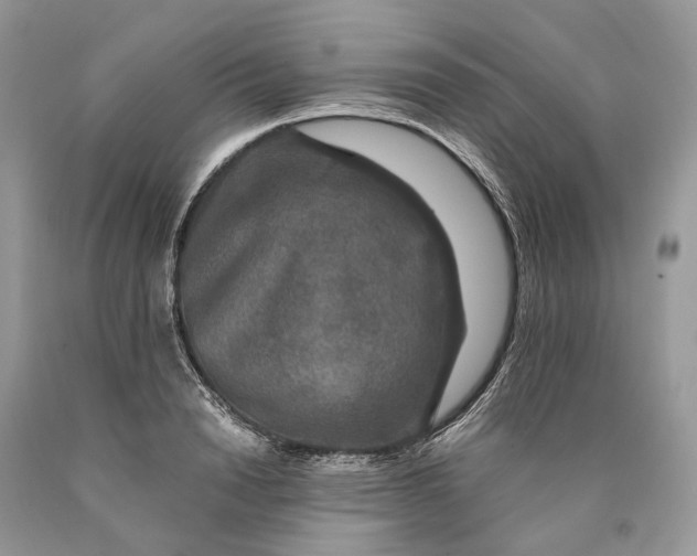 X0000089920846200707201816