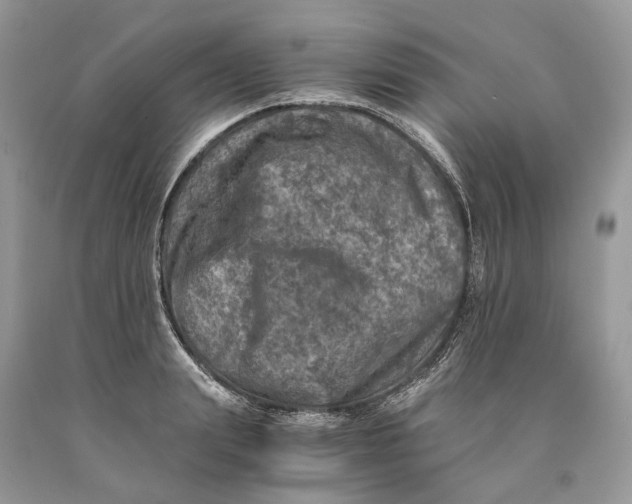 X0000089920847200707201816