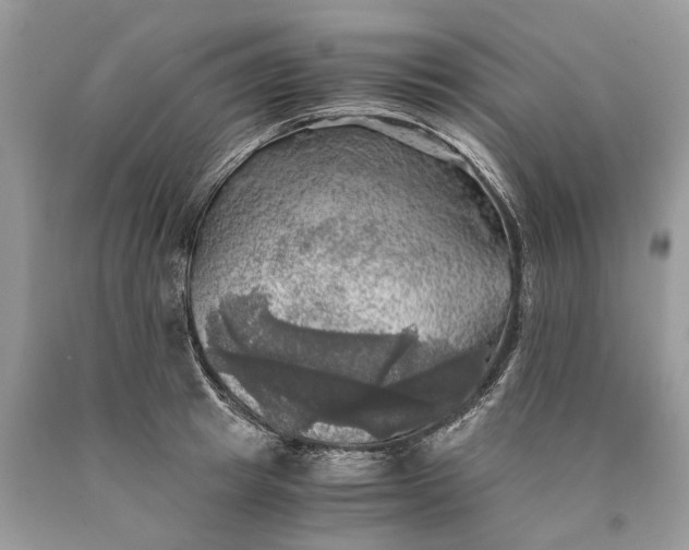 X0000089920849200707201816