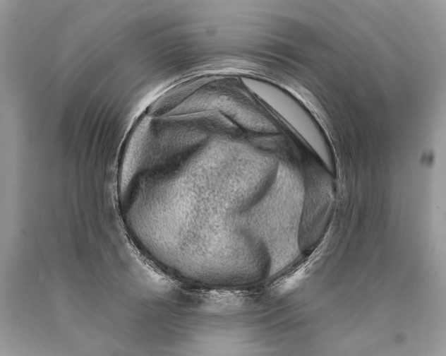 X0000089920850200707201816